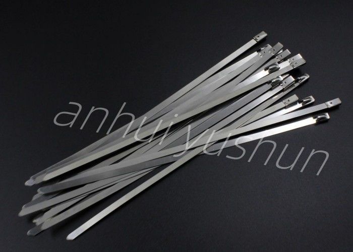 tipo inoxidável resistente da curvatura da cinta plástica SS316 de 700mm