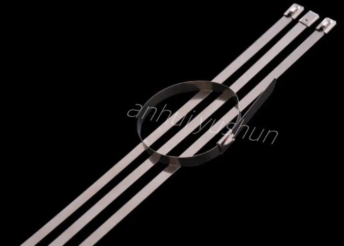 tipo cinta plástica inoxidável de aço da curvatura de 150mm para o arranjo do fio