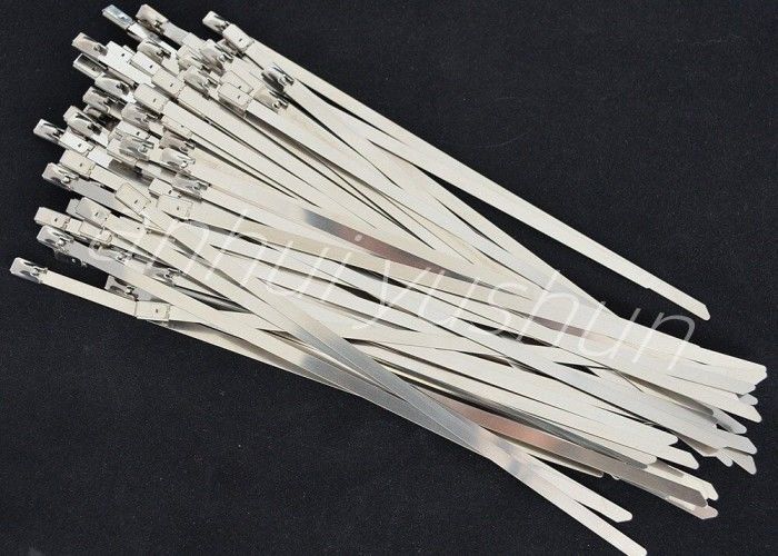 tipo inoxidável da curvatura da cinta plástica do pacote SS316 de 100mm