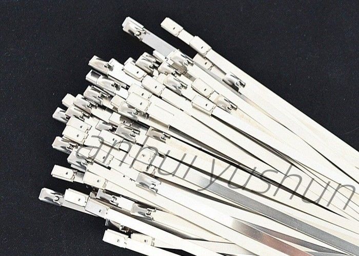 tipo inoxidável da curvatura da cinta plástica do pacote SS316 de 100mm